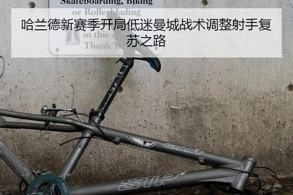 ha-lan-de-xin-sai-ji-kai-ju-di-mi-man-cheng-zhan-shu-tiao-zheng-she-shou-fu-su-zhi-lu-2-721.jpg