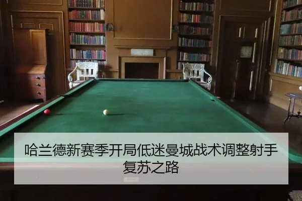 ha-lan-de-xin-sai-ji-kai-ju-di-mi-man-cheng-zhan-shu-tiao-zheng-she-shou-fu-su-zhi-lu-3-797.jpg