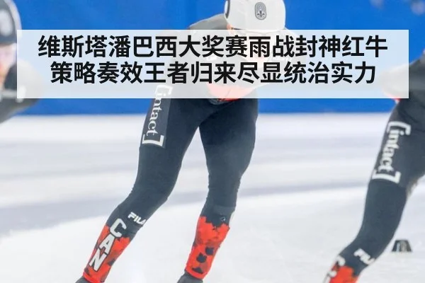 维斯塔潘巴西大奖赛雨战封神红牛策略奏效王者归来尽显统治实力